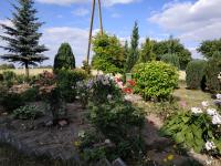 Ogródek Ludwiki Granat
